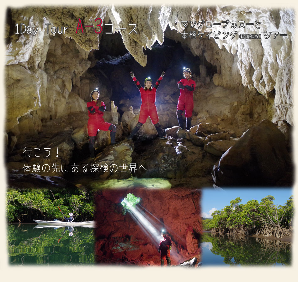 西表島1日ツアー本格ケイビング（洞窟探検）とマングローブカヌー