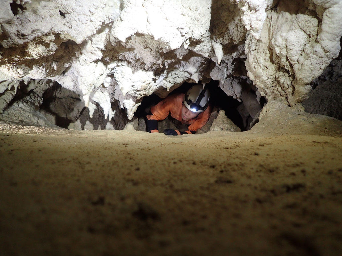 西表島洞窟探検ケイビングツアー
