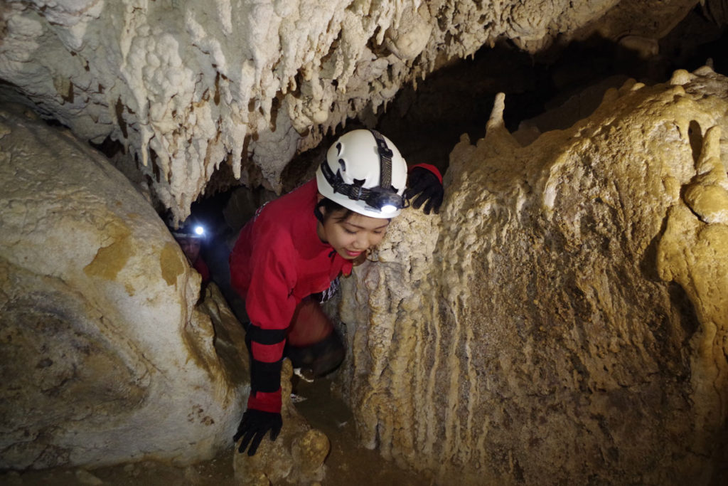 西表島の絶景滝巡りと洞窟探検ツアー