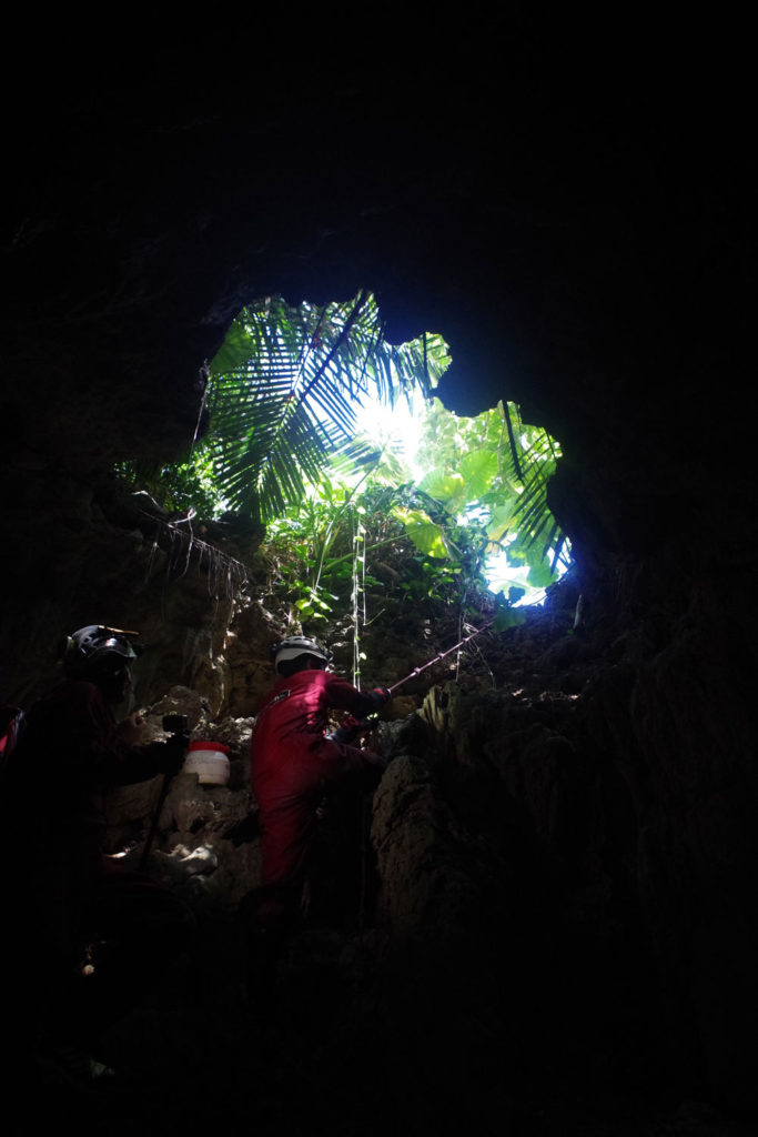 西表島でトレッキング絶景滝巡りと本格的ケイビング洞窟探検ツアー