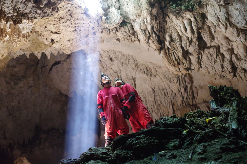 西表島でトレッキング絶景滝巡りと本格的ケイビング洞窟探検ツアー