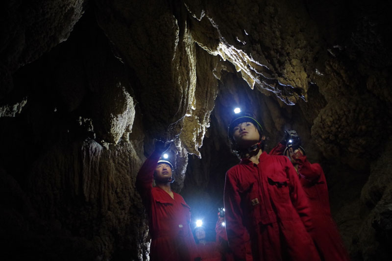 トレッキングとキャニオニングと洞窟探検を楽しむ西表島