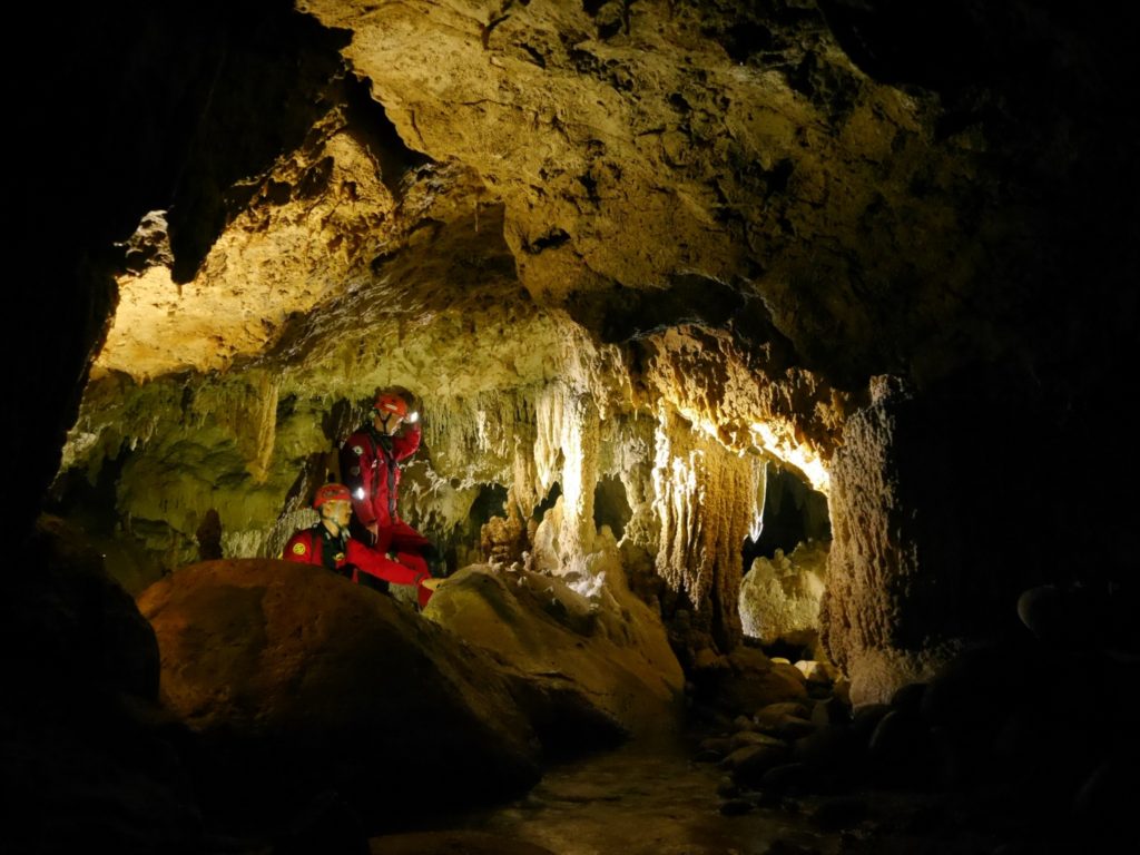 石垣島で本気の洞窟探検（ケイビング）ツアー