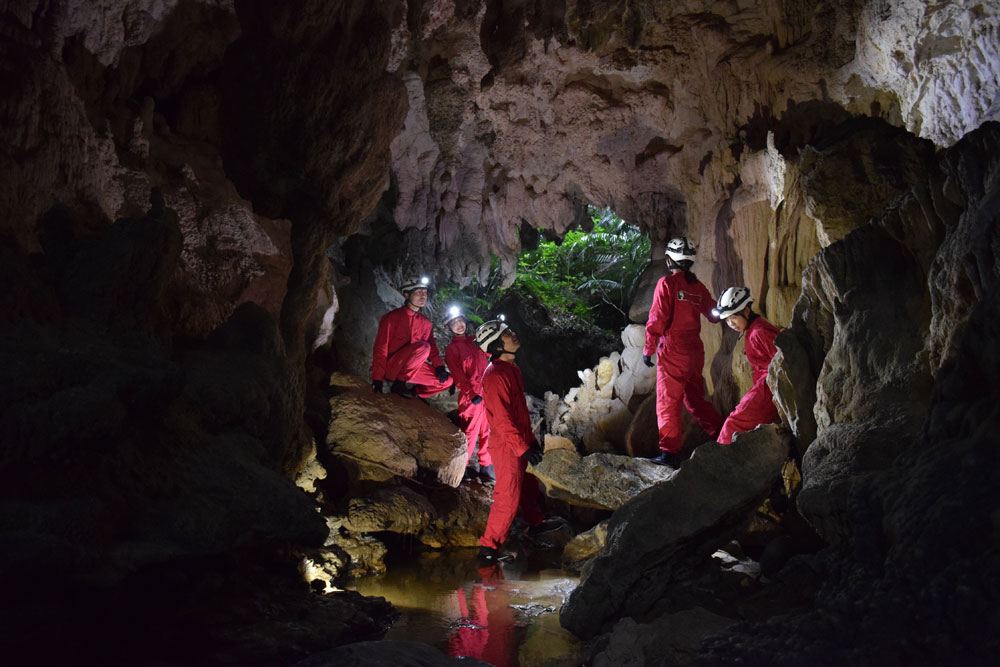 密度の濃ゆいジャングルを歩き1つ目の洞窟