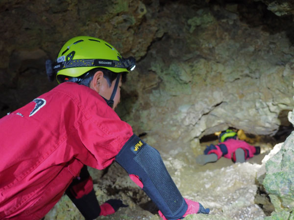西表島の半日洞窟探検ツアーは満足度が高い理由その①：とにかく探検が出来る件