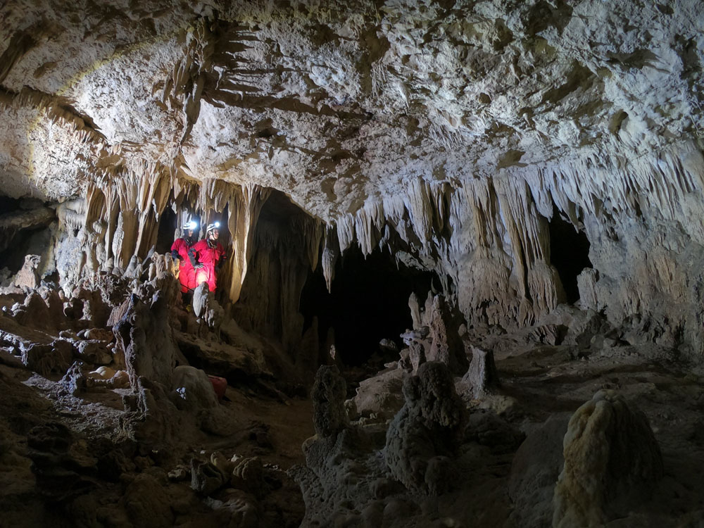 石垣島洞窟探検ケイビングツアー始まりました