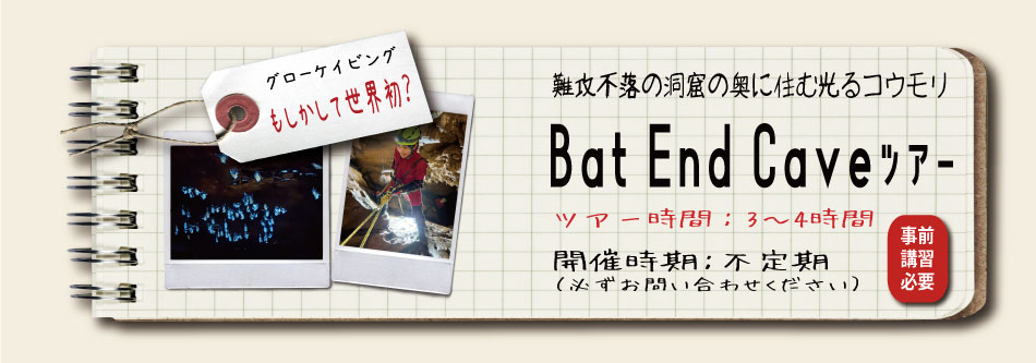 バットエンドケイブ