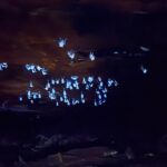 これが光るコウモリだ！